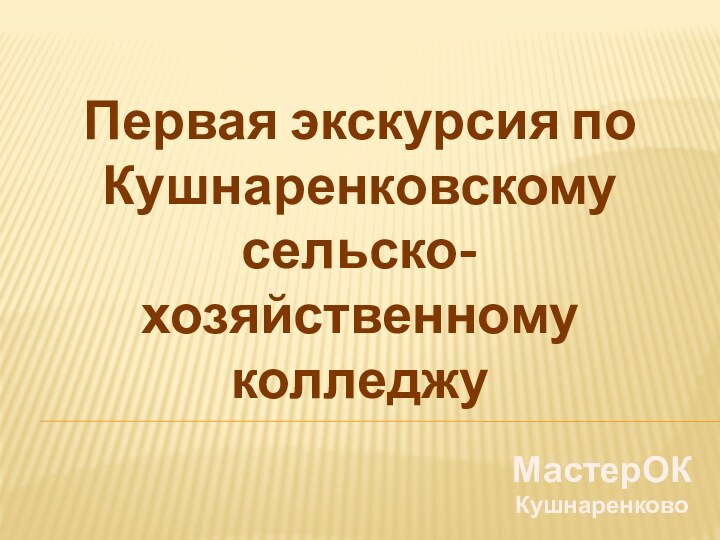 Первая экскурсия по Кушнаренковскому сельско-хозяйственному колледжуМастерОК Кушнаренково