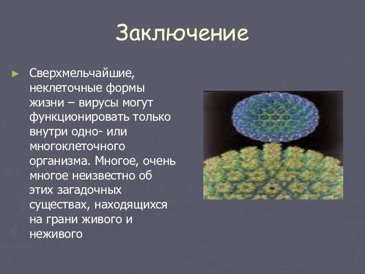 ЗаключениеСверхмельчайшие, неклеточные формы жизни – вирусы могут функционировать только внутри одно- или