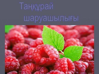 Таңқурай шаруашылығы