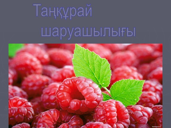 Таңқұрай   шаруашылығы