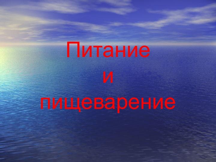 Питание  и  пищеварение