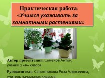 Практическая работа: Учимся ухаживать за комнатными растениями
