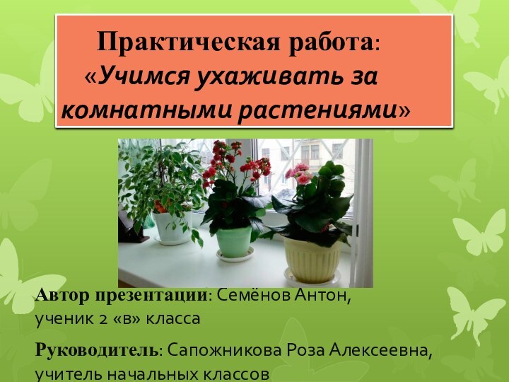 Практическая работа:    «Учимся ухаживать за комнатными