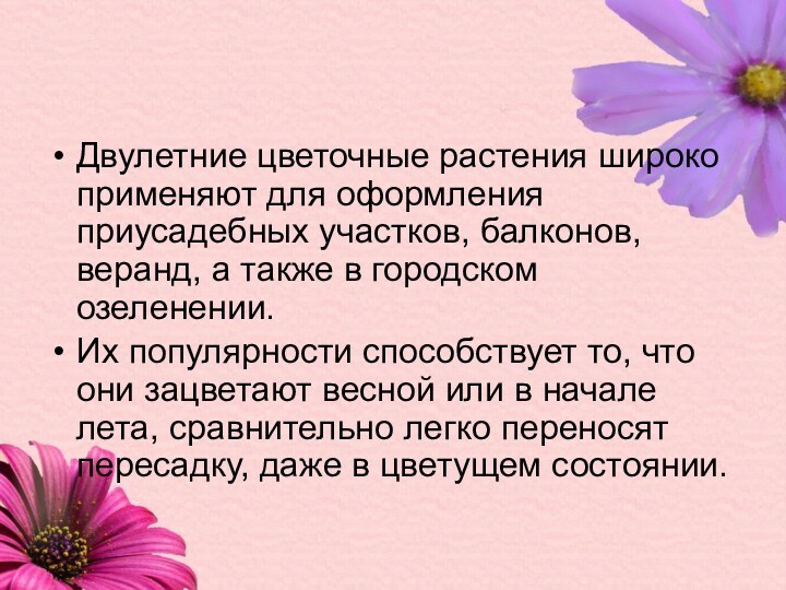 Двулетние цветочные растения широко применяют для оформления приусадебных участков, балконов, веранд, а