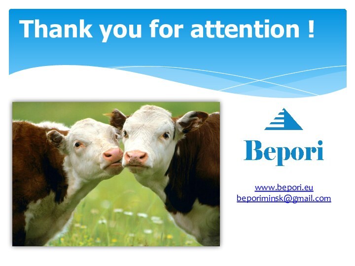 Thank you for attention !www.bepori.eubeporiminsk@gmail.com