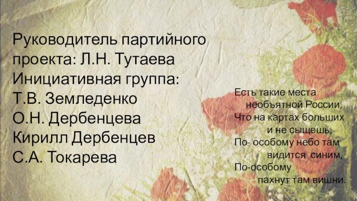 Руководитель партийного проекта: Л.Н. ТутаеваИнициативная группа:Т.В. ЗемледенкоО.Н. ДербенцеваКирилл ДербенцевС.А. ТокареваЕсть такие места