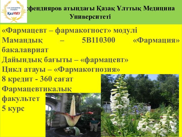 С.Ж.Асфендияров атындағы Қазақ Ұлттық Медицина Университеті«Фармацевт – фармакогност» модуліМамандық – 5В110300 «Фармация»