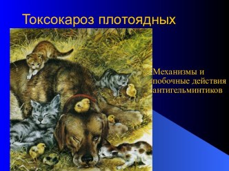 Токсокароз плотоядных. Механизмы и побочные действия антигельминтиков