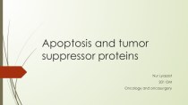 Apoptosis and tumor suppressor proteins