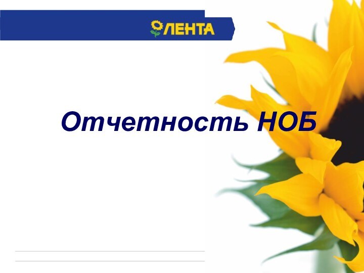 Отчетность НОБ