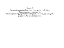 Реновація склепінь. Пласкі дерев’яні перекриття. Реновація конструкцій та покриття дахів