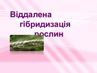 Віддалена гібридизація рослин