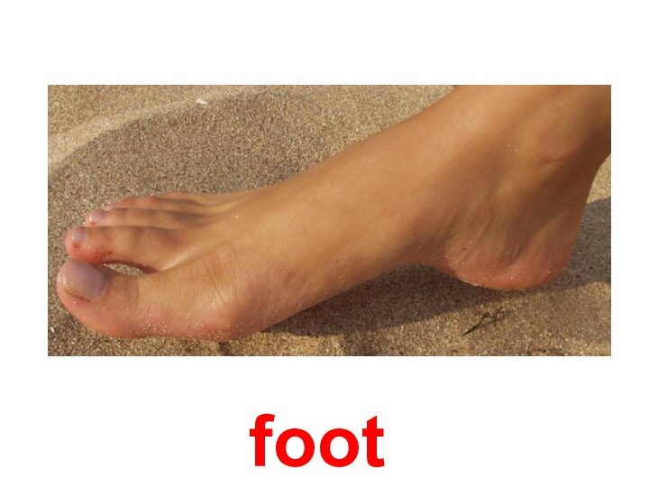 foot