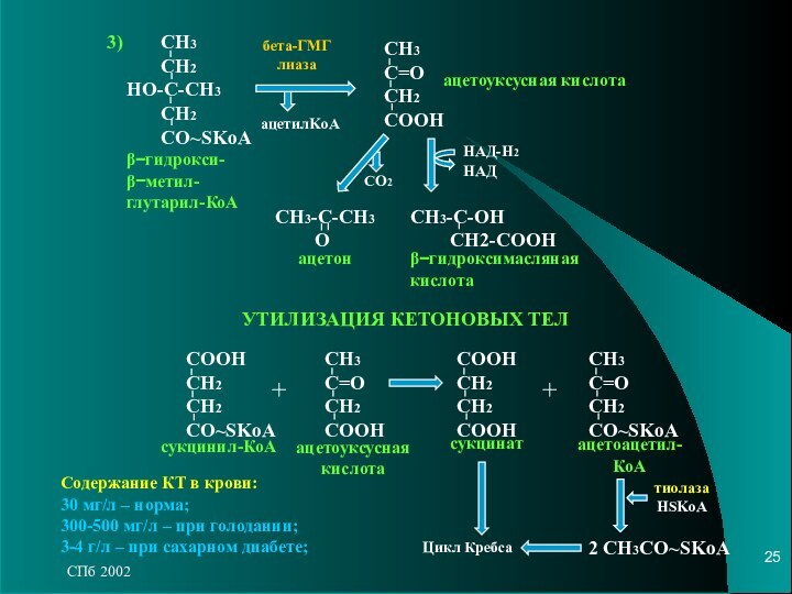 СПб 2002СН3C=ОCH2COОНацетилKoA    СН3    CH2НО-С-СН3