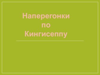 Наперегонки по Кингисеппу