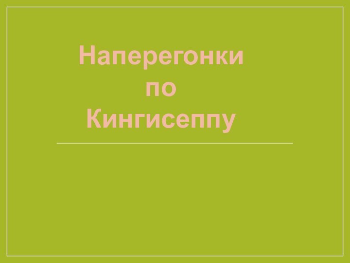 Наперегонки по Кингисеппу