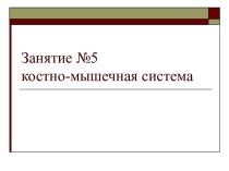 Занятие №5. Костно-мышечная система. Особенности костной системы у детей