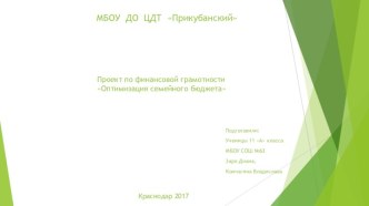 Проект по финансовой грамотности Оптимизация семейного бюджета