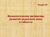 Физиологические механизмы развития мышечной силы и гибкости