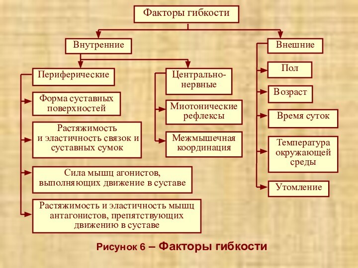 Рисунок 6 – Факторы гибкости