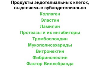 Продукты эндотелиальных клеток, выделяемые субэндотелиально