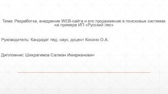 Разработка, внедрение web-сайта и его продвижение в поисковых системах на примере ИП Русский лес