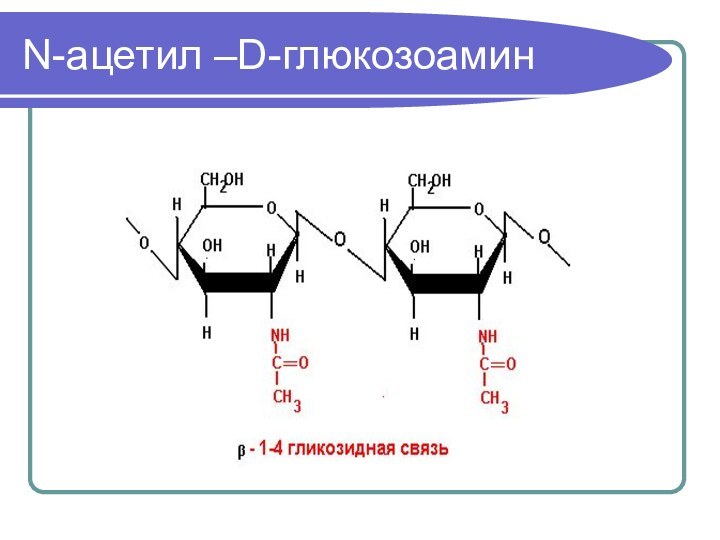 N-ацетил –D-глюкозоамин