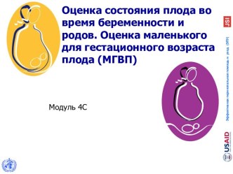 Оценка состояния плода во время беременности и родов. Оценка маленького для гестационного возраста плода (МГВП)