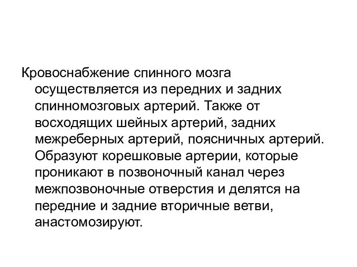 Кровоснабжение спинного мозга осуществляется из передних и задних спинномозговых артерий. Также от