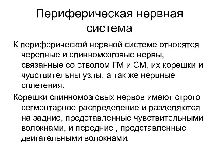 Периферическая нервная системаК периферической нервной системе относятся черепные и спинномозговые нервы, связанные