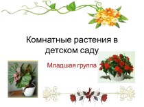 Комнатные растения в детском саду. Младшая группа