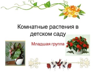 Комнатные растения в детском саду. Младшая группа