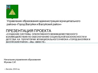 Проект. Создание системы оперативного межведомственного взаимодействия по обеспечению социальной безопасности и детства