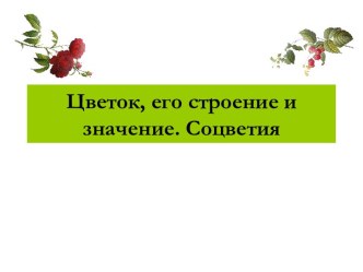 Цветок, его строение и значение. Соцветия