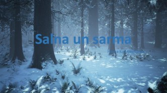 Salna un sarma