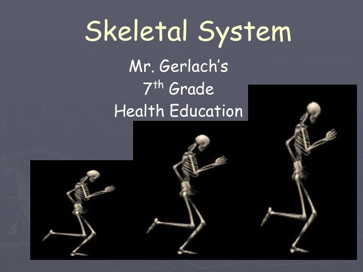 Skeletal SystemMr. Gerlach’s 7th GradeHealth Education