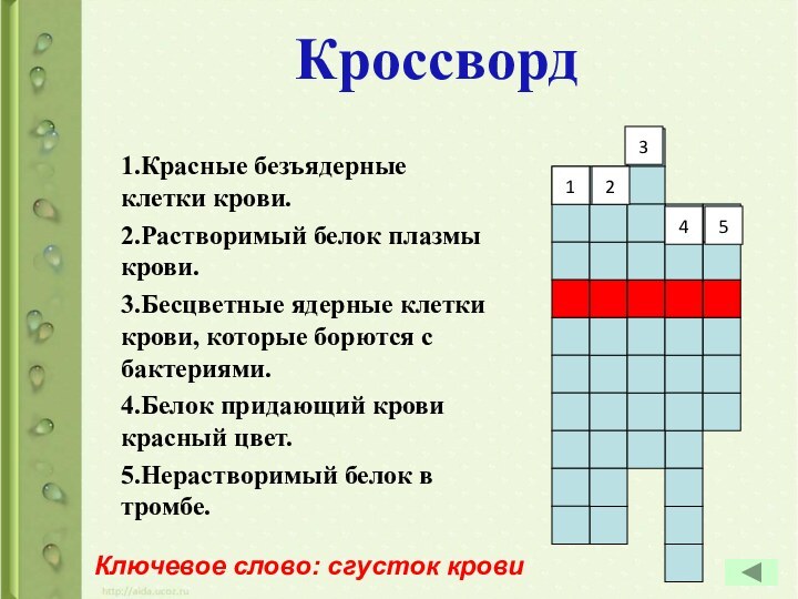 1.Красные безъядерные клетки крови.2.Растворимый белок плазмы крови.3.Бесцветные ядерные клетки крови, которые борются