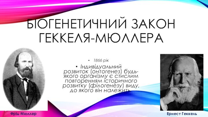 БІОГЕНЕТИЧНИЙ ЗАКОН ГЕККЕЛЯ-МЮЛЛЕРА1866 рікІндивідуальний розвиток (онтогенез) будь-якого організму є стислим повторенням історичного розвитку (філогенезу) виду, до якого він належить.Фріц МюллерЕрнест Геккель