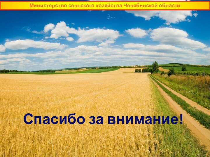 Спасибо за внимание!Министерство сельского хозяйства Челябинской области