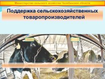 Поддержка сельскохозяйственных товаропроизводителей Челябинской области