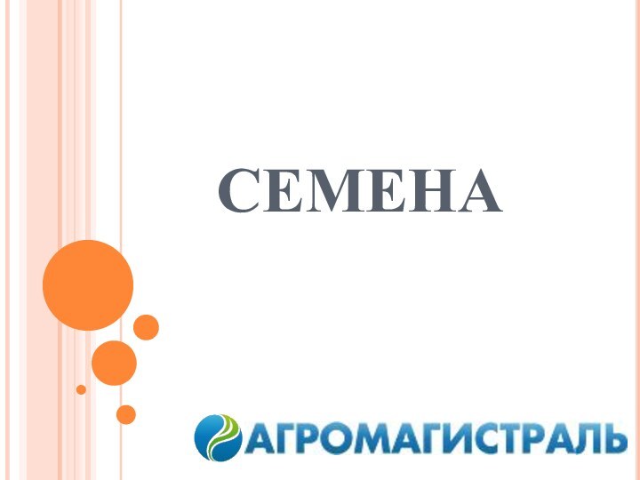 СЕМЕНА