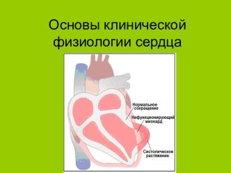 Основы клинической физиологии сердца