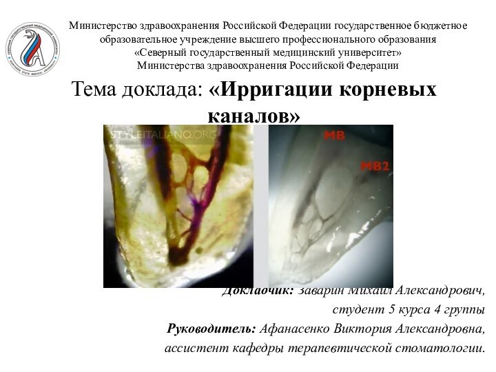 Министерство здравоохранения Российской Федерации государственное бюджетное образовательное учреждение высшего профессионального образования «Северный