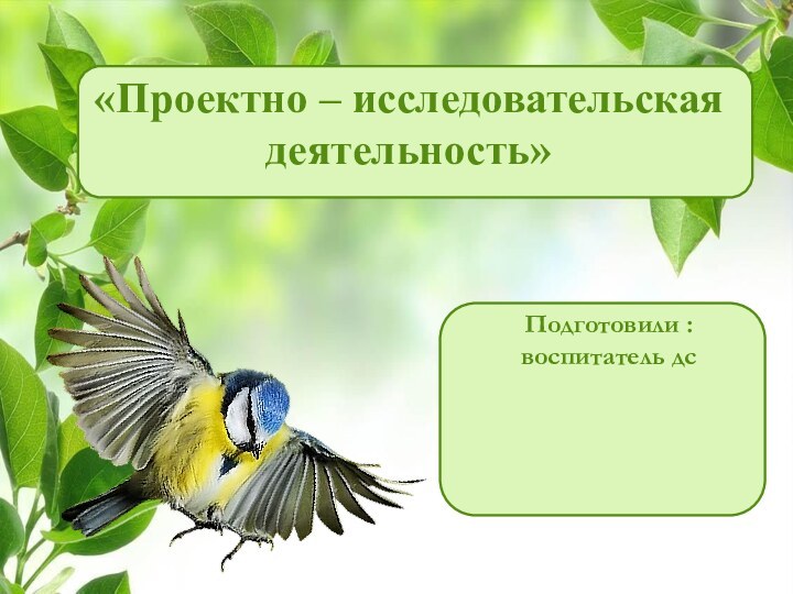 «Проектно – исследовательская деятельность» Подготовили : воспитатель дс