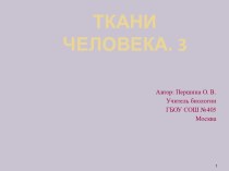 Ткани человека. 3