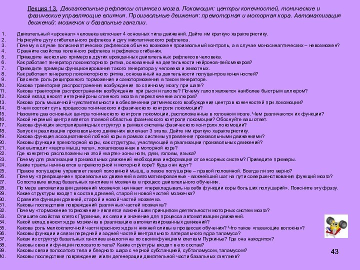 Лекция 13. Двигательные рефлексы спинного мозга. Локомоция: центры конечностей, тонические и фазические