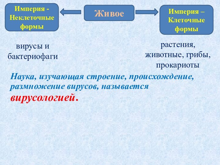 Наука, изучающая строение, происхождение, размножение вирусов, называется вирусологией.Живое Империя -