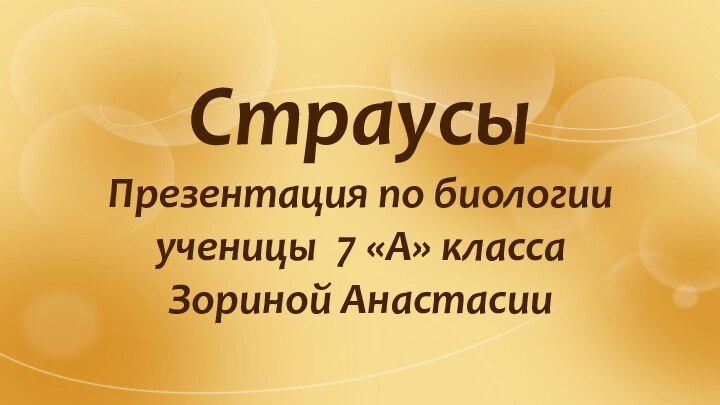 СтраусыПрезентация по биологии ученицы 7 «А» класса    Зориной Анастасии