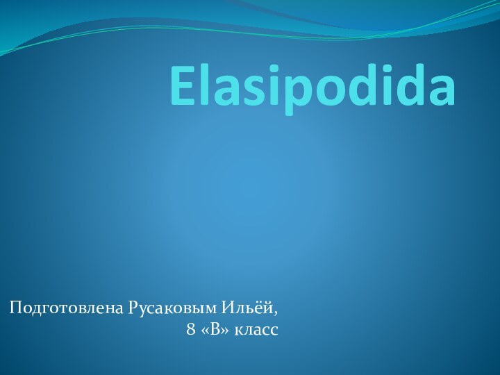 Elasipodida Подготовлена Русаковым Ильёй, 8 «В» класс