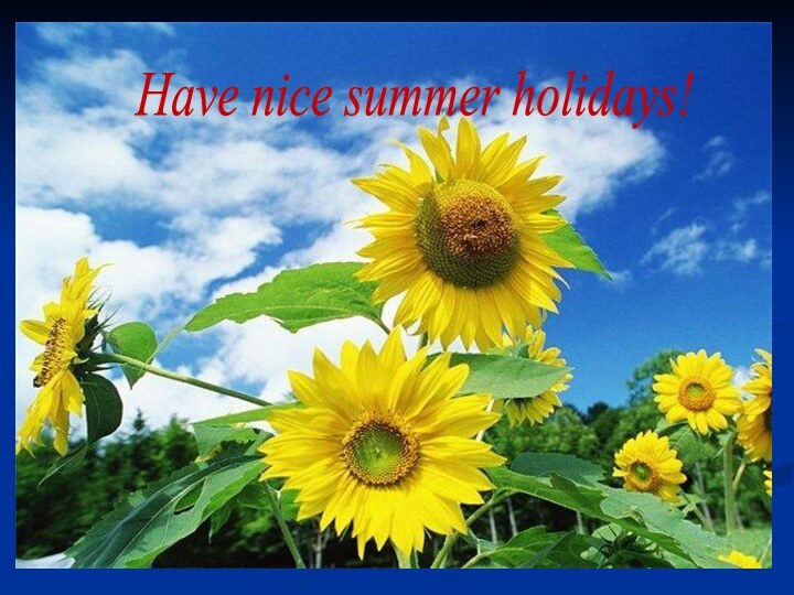 Have nice summer holidays!